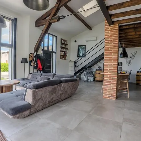 Le Loft Des Familles - Piscine Et Jeux Montech